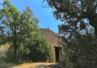 celler noguerals