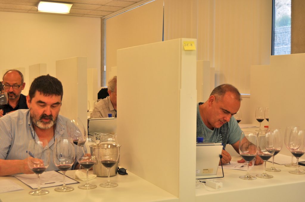Tast Vi Institucional DO Montsant.jpg