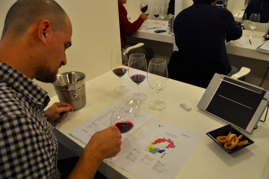 Tast Microvinificacions.jpeg