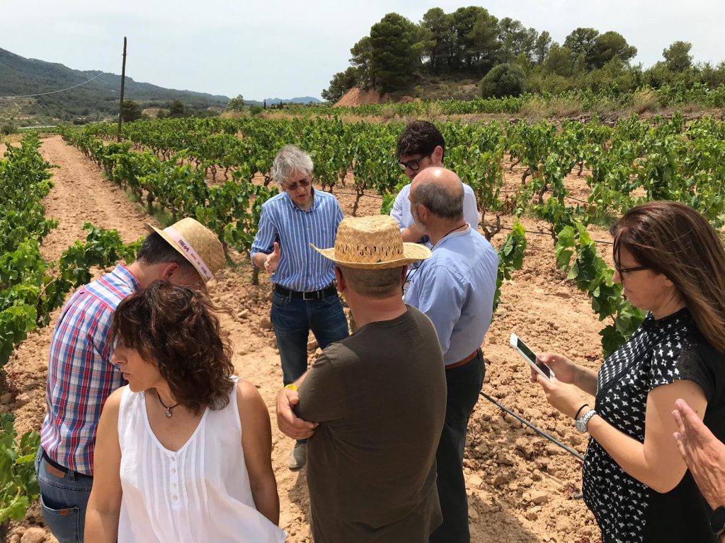 TERRA ALTA, MONTSANT I PRIORAT UNEIXEN ESFORÇOS PER BUSCAR SOLUCIONS A LES PÈRDUES CAUSADES PER L’ONADA DE CALOR