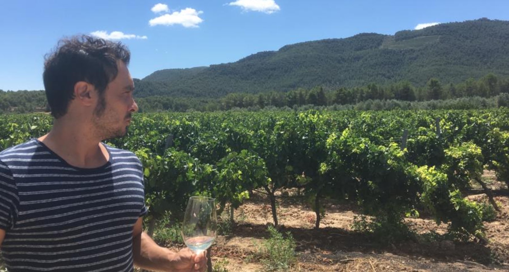PROPUESTA DE ENOTURISMO: CELLER MAS DE LES VINYES, EXPERIENCIAS A MEDIDA