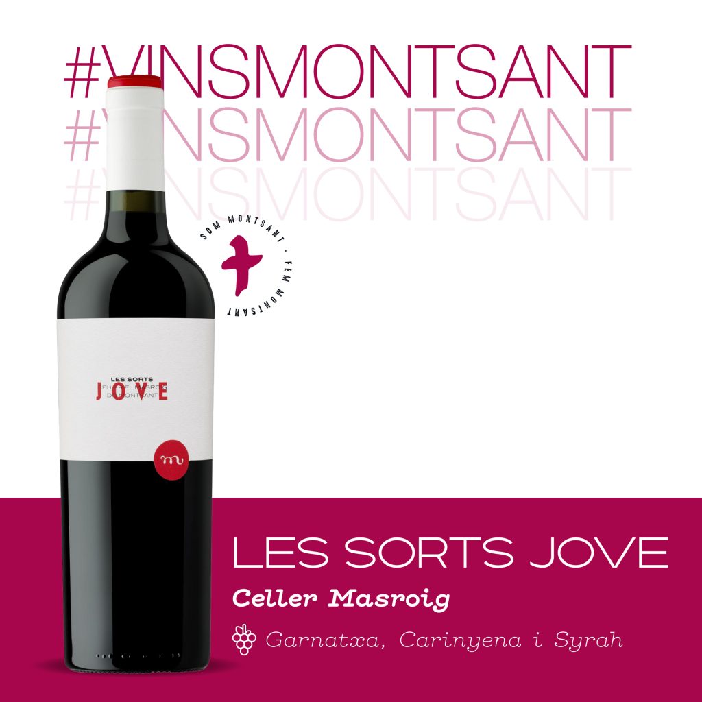dom-sorts-jove-celler-masroig