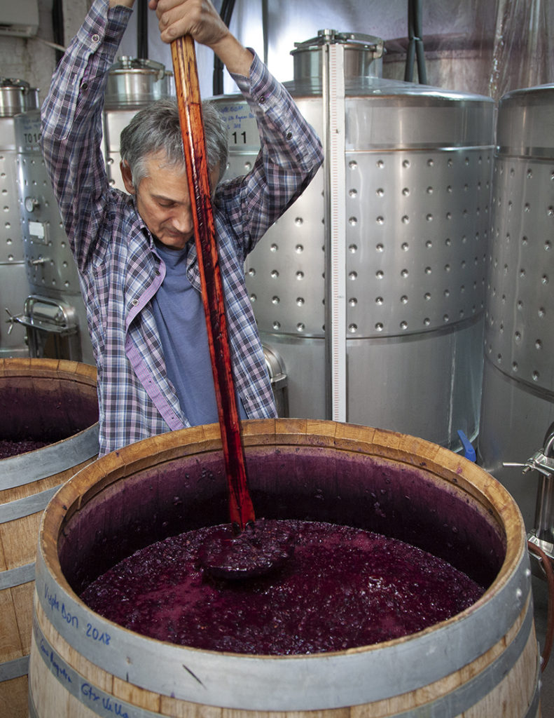 Orto Vins 2