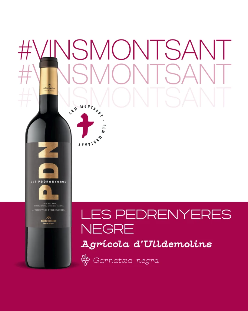 Ampolla_DOM_2025-Pedrenyeres Pedrenyeres
