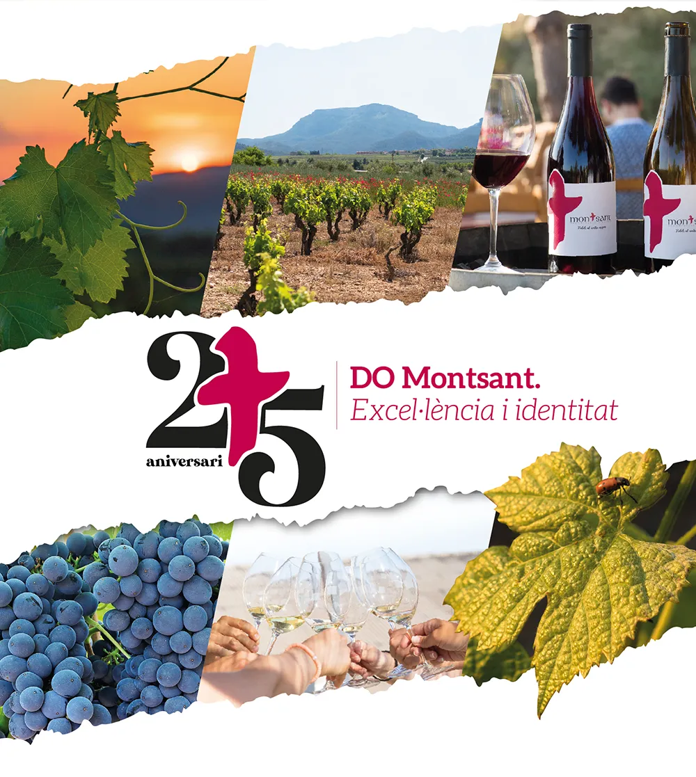 Cartell-DOM-25aniv 25 anys do montsant